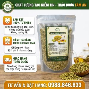 trà nụ hòe thái bình