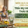 trà nụ hòe