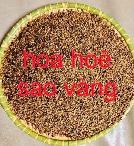 trà nụ hòe thái bình