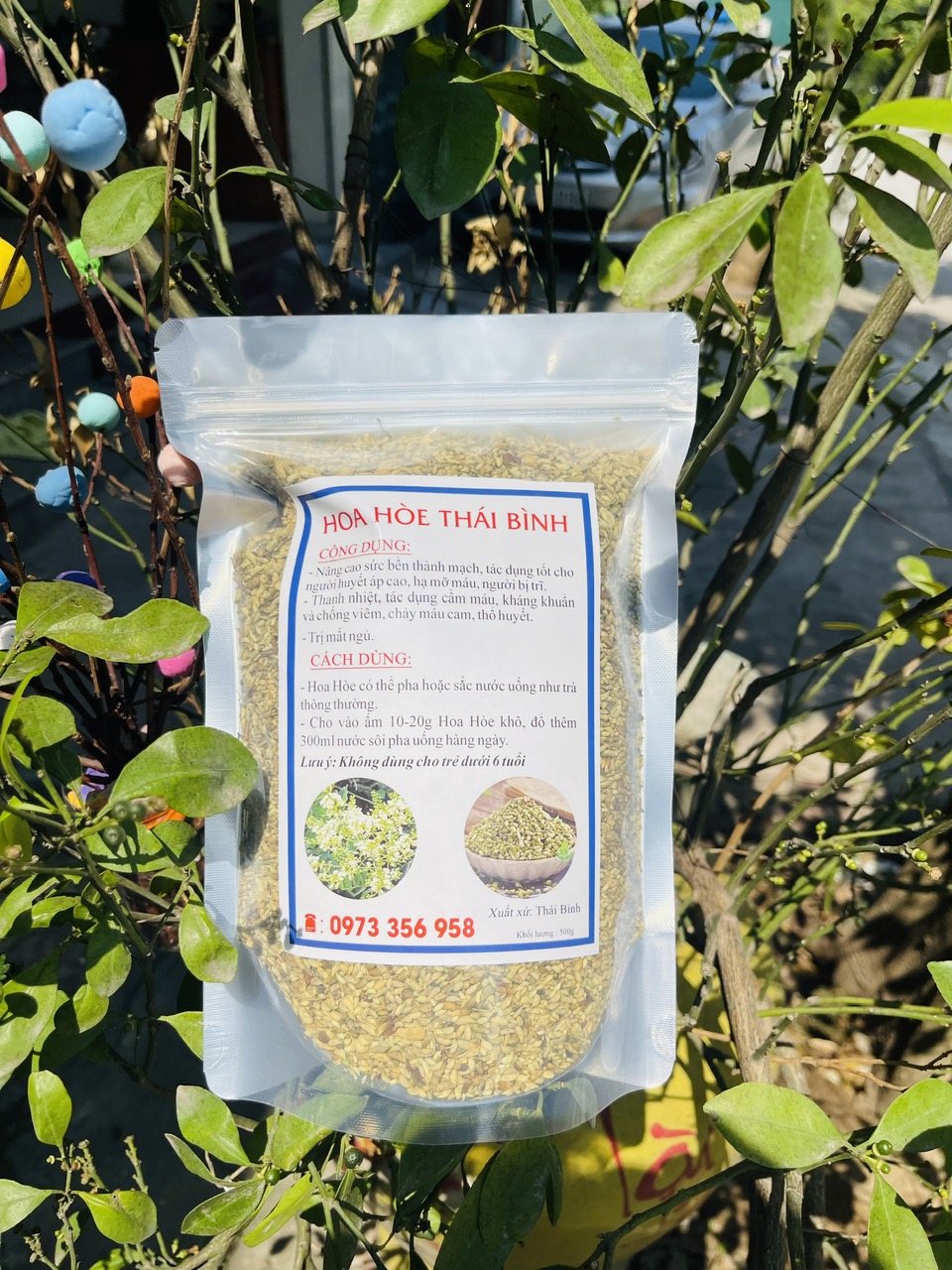 tra nu hoe thai binh